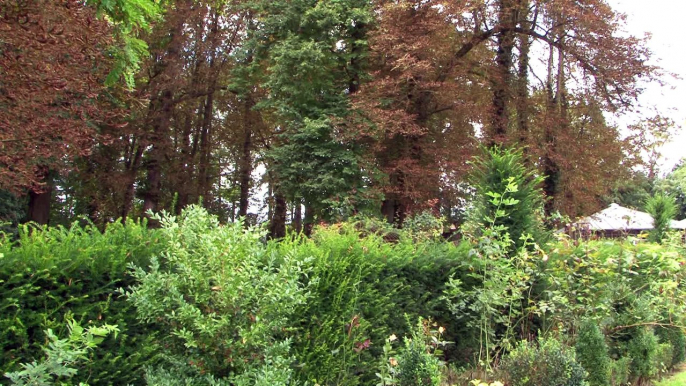 Visite Remaucourt, parc du château et l'église Saint Géry