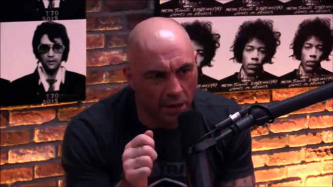 Joe Rogan and Gavin McInnes on Milo Yiannopoulos Controversy - Downloaded from youpak.com (