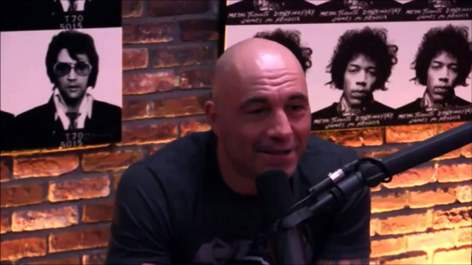 Joe Rogan and Gavin McInnes on Milo Yiannopoulos Controversy - D