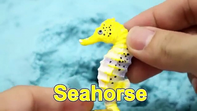 Learning Sea Creatures for Children with Sea Creatures Fishing Toy