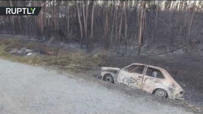 Devastated forests in Portugal: Blaze left 64 dead & 150 injured (DRONE FOOTAGE)