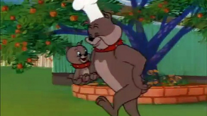 Tom_And_Jerry funny_cartoon HD video