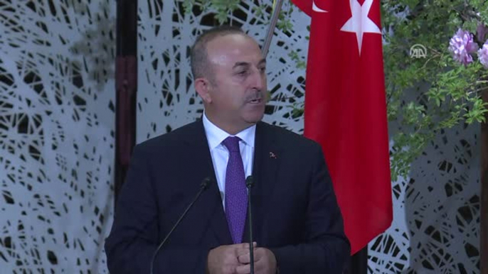 Dışişleri Bakanı Çavuşoğlu ve Japon Dışişleri Bakanı Kishida'dan Ortak Basın Toplantısı (2)