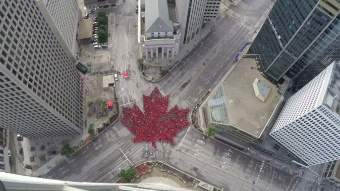 Time-lapse shows Winnipeg's largest 'living' maple leaf as tribute to Canada 150 celebrations