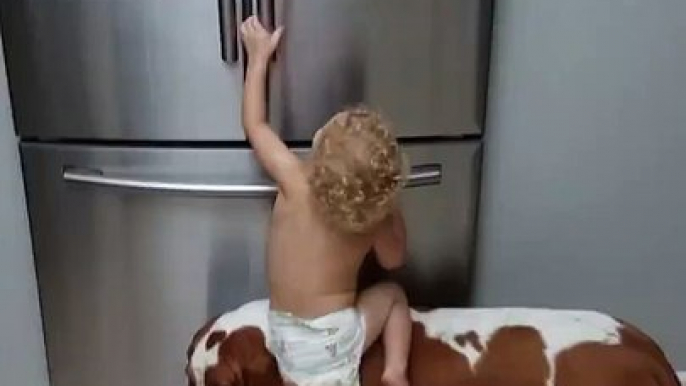 Quand ton gamin et ton chien s'associent pour voler dans le frigo...