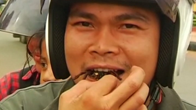 Fried tarantulas are a Cambodian delicacy [Mic Archives]