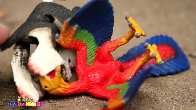 Videos de Dinosaurios para niños Dinosaurios desd Juguete Microraptor Schleich Dinosaur_D