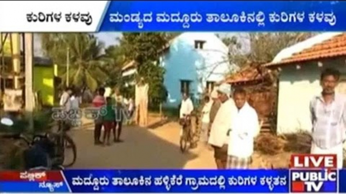 Mandya: Goats & Sheeps Stolen From Farmers