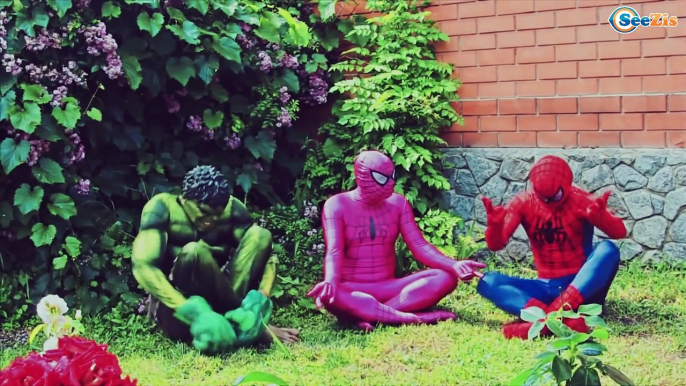 Spiderman LOST POWER Frozen Elsa Pink Spidergirl Hulk Superhero in Real Life