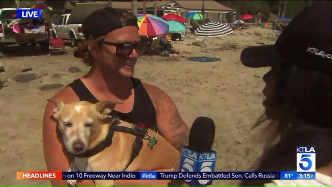 Tropical Storm Brings Powerful Surf to Southern California Beaches