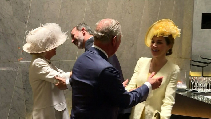 Prince Charles beyond awkward: Royal kiss mix-up with Spanish King and Queen