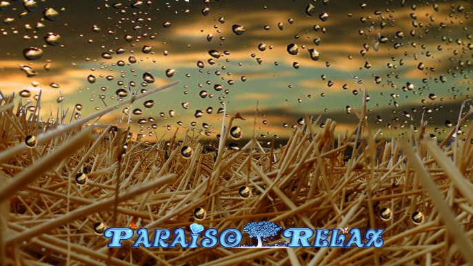 RELAX EXPRESS VOL 36 NATURALEZA LLUVIA, RELAJANTE  PARA ESTUDIAR, TRABAJAR, DORMIR, SPA, YOGA