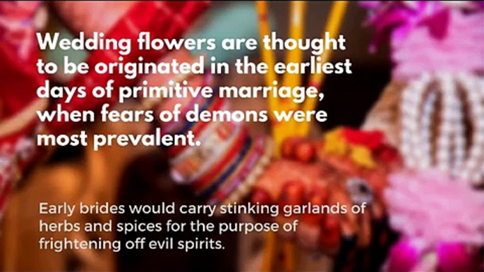 Interesting wedding traditions in the world
