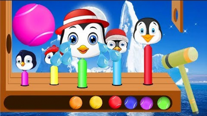 Learn Colors Wooden Face Hammer Xylophone Cute Penguins Finger Family Nursery Rhymes for Children
