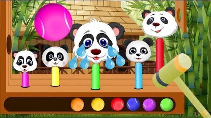 Learn Colors Wooden Face Hammer Xylophone Cute Baby Pandas Finger Family Nursery Rhymes for Children