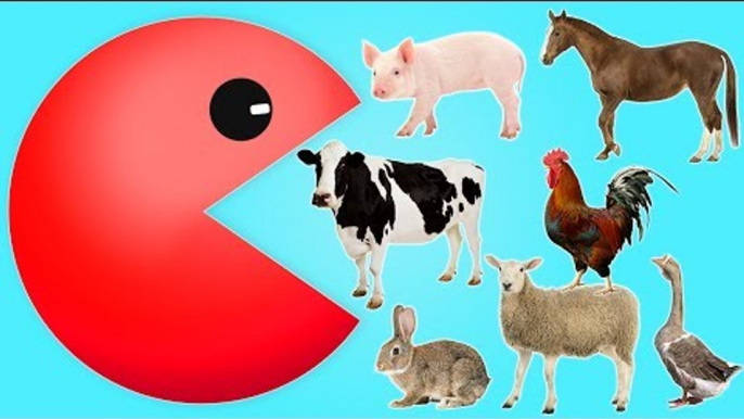 Learn Colors Farm Animals with Pacman | Colors for Children to Learn with Farm Animals!