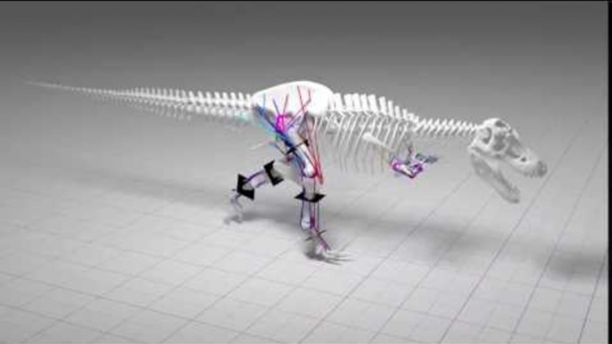 Forget Jurassic Park Chases, Research Says T Rex Could Not Run