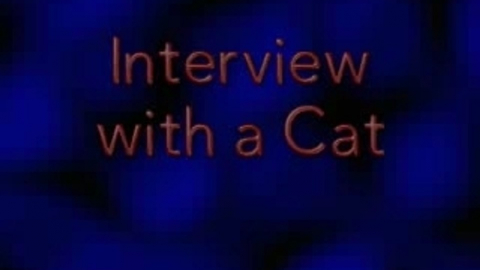 Interview With an Animatronic Cat - Hissy Fit!