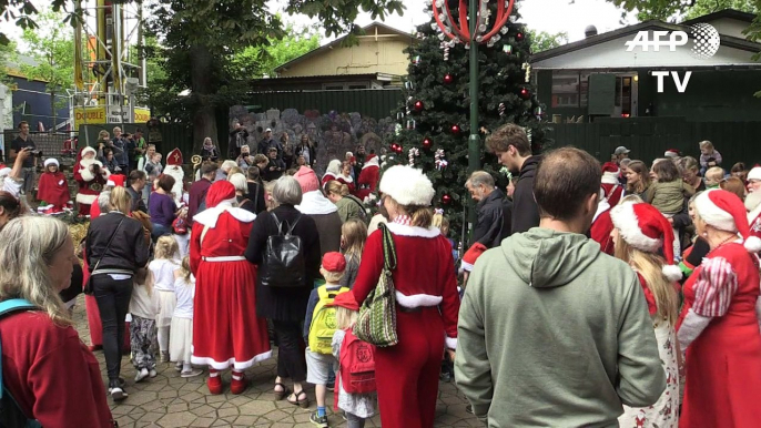 Natal fora de época