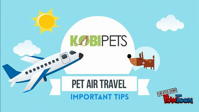 Tips on Air Travel With Your Pet