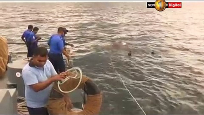 elephant drowning in sea Sri Lanka Navy rescues  safe it now