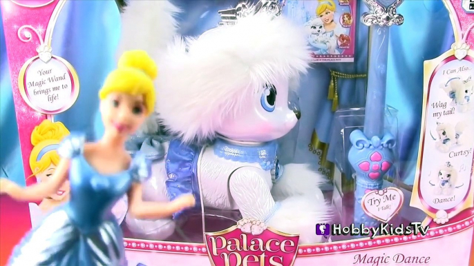 Danse la magie Magie palais animaux domestiques Princesse citrouille chiot Disney cinderellas