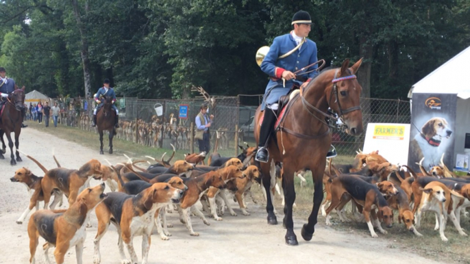 Fête de la chasse, de la pêche et de la nature