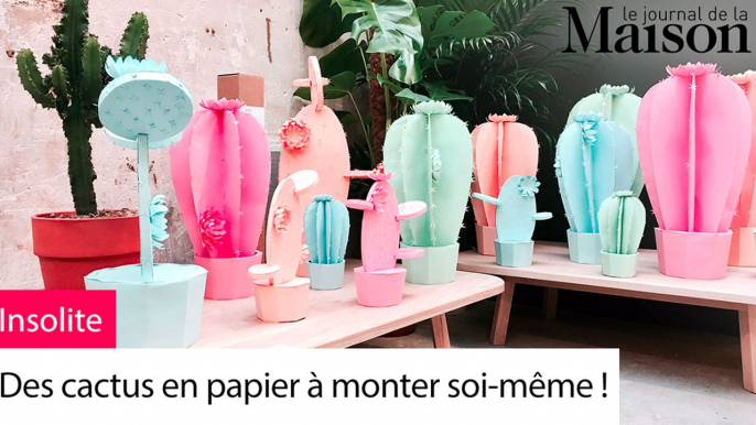 Déco insolite : des cactus en papier à monter soi-même !