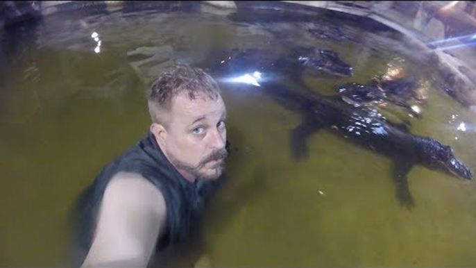 'The Gator Crusader' Goes for a Swim With His Alligators