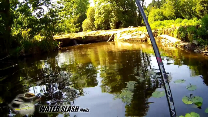 Pêche multi carnassier en float tube