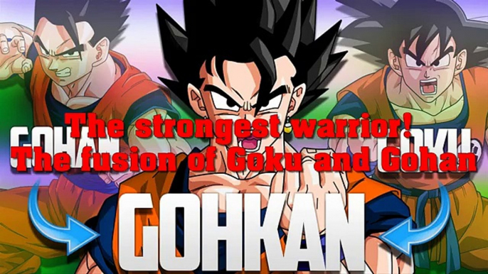 The strongest warrior! The fusion of Goku and Gohan  Dragon Ball Super