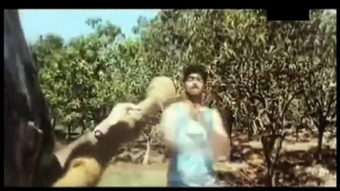 Travelling Soldier _ Badri _ Tamil Film Song