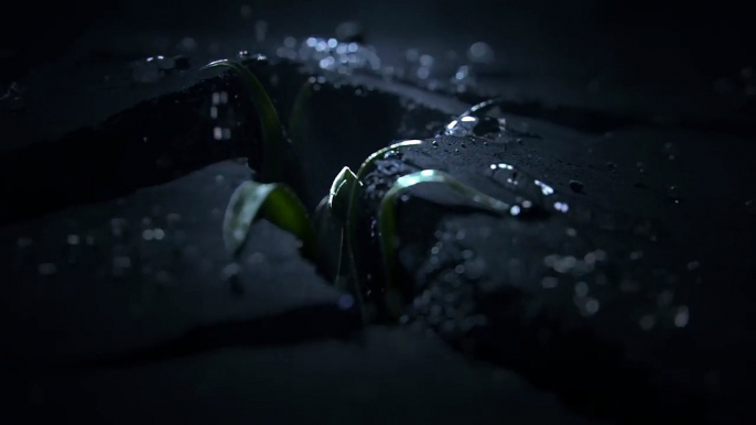 CGI Animated Spot HD Bloom Spot by Josh Clos, Romain Faure, Cristina Barna MovieBuzz Clips