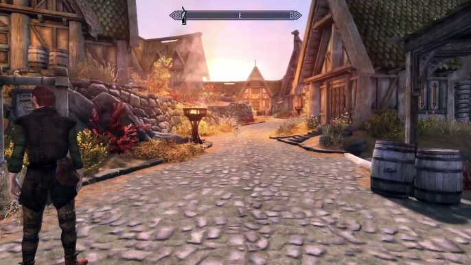 Skyrim modded on hard level (PS4 Pro) StNekroman