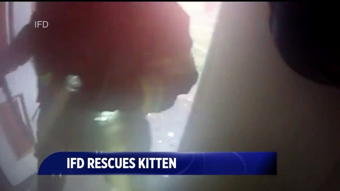 Stunning Video Shows Firefighter Rescuing Kitten from House Fire