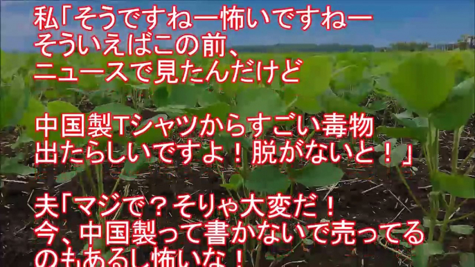 【スカッとする話】トメ『農家の人って怖いわ～、お米に農薬だなんて！人ゴロしねぇ！』空気ウト『嫁子さんの妹さんとこは知らないけど一理あるな』→私『トメさんのそのＴシャツもｗ』→