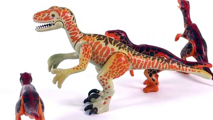 Et dinosaure Playmobil velociraptor playmobil dinos velociraptors deinonychus 5233
