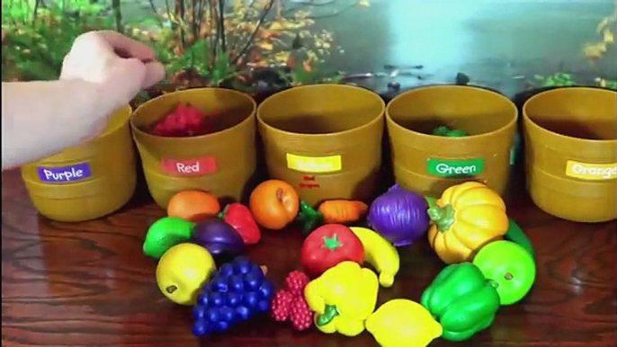 Toddler Learning Video for Kids Learn Colors Fruits & Veggies Sorting Fruits Vegetables To