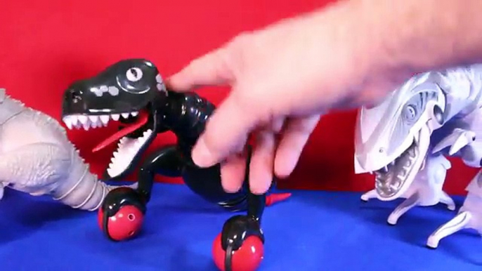 MIPOSAUR vs ZOOMER Robotic Dinosaur Toy | Pet Dino Fight | HOT Christmas Toys Toypals.tv