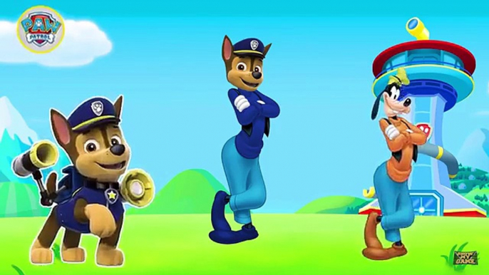 Paw Patrol Transforms Into Mickey Mouse Clubhouse Finger Family Nursery Rhymes Songs for c