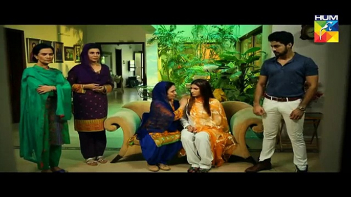 Adhi gawahi episode 17 30 august 2017 hum tv drama(360p)