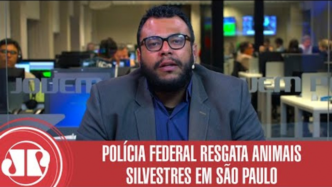 PF resgata animais exóticos em ação contra tráfico | Jornal da Manhã | Jovem Pan