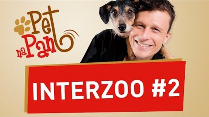 Interzoo #2 - conheça as novidades em brinquedos para cães e gatos