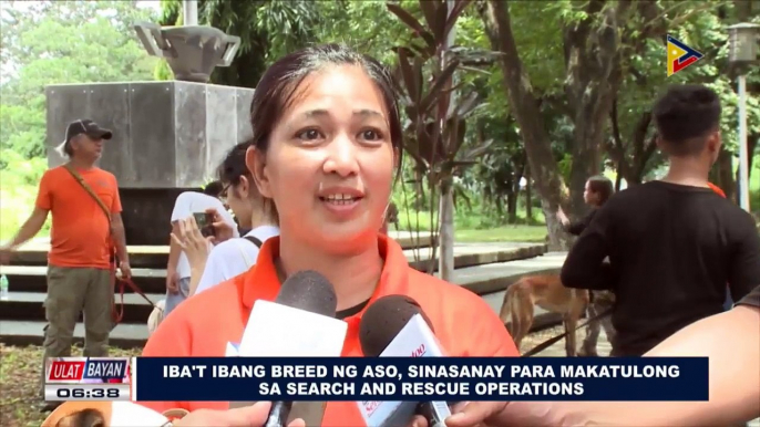 Iba't ibang breed ng aso, sinasanay para makatulong sa search and rescue operations