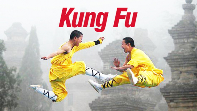 Top New The Martial Arts Kung Fu Of Self-Defense