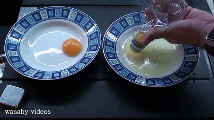 2010 здорово трюки с Яйца