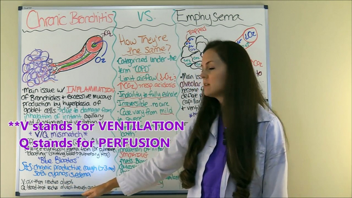 Chronic Bronchitis vs Emphysema Pathophysiology, Treatment, Nursing, Symptoms | COPD NCLEX Review