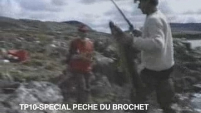 Spécial pêche du brochet