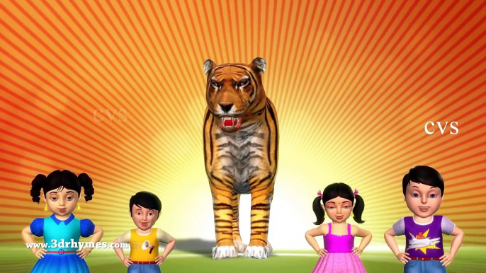 Animal Finger Family - Finger Family Song - 3D Animation Nursery Rhymes & Songs for Children - YouTube