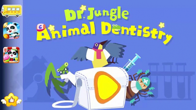 Animaux bébé soins dentiste docteur amusement amusement des jeux enfants jouer Panda dr jungle animal dentistr